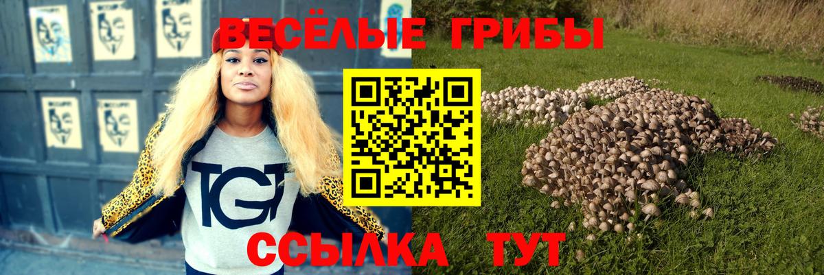 хочу наркоту  Вход с VPN  Джанкой  Псилоцибиновые грибы ЛСД  Галлюциногенные грибы Psilocybine cubensis 